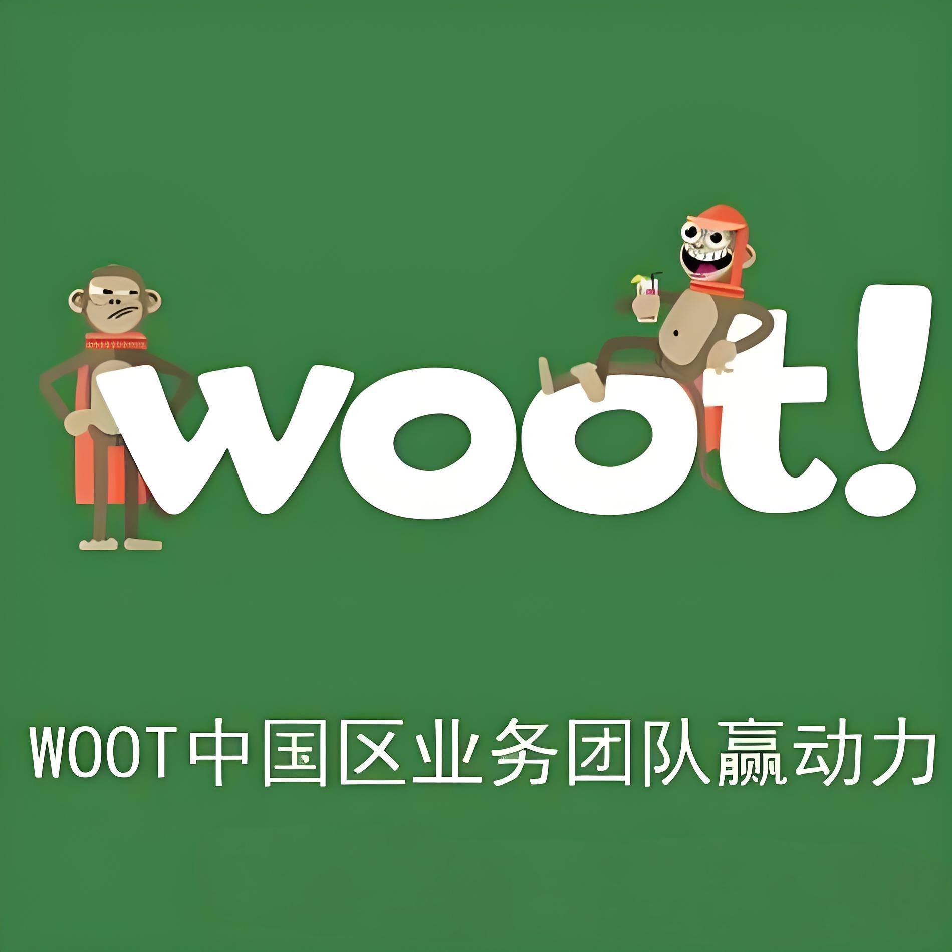 卖家正确运用WOOT的五个关键原则